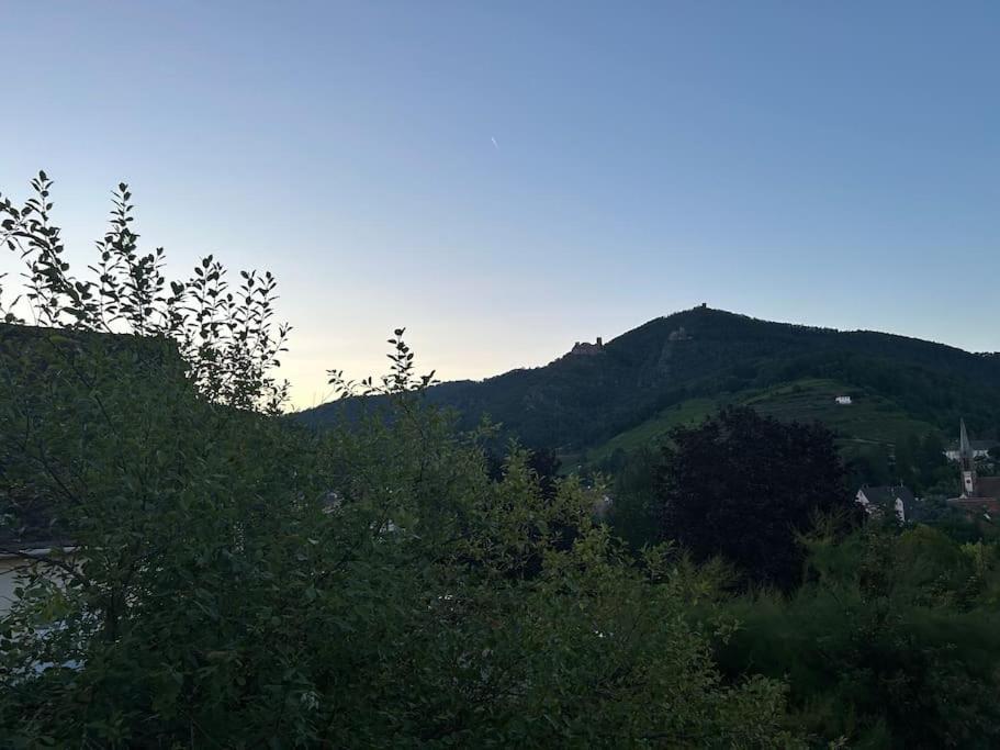 Vue Magnifique Sur Les Chateaux Ribeauvillé Dış mekan fotoğraf