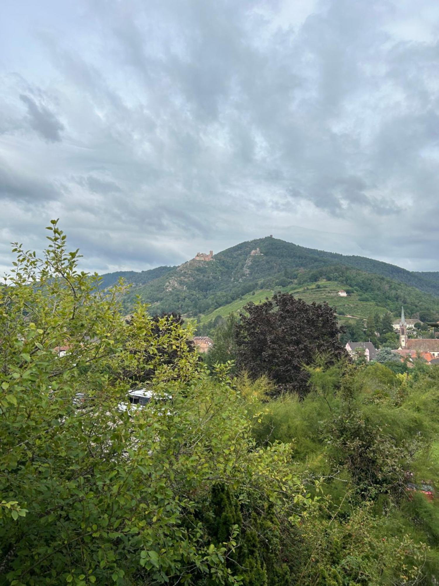 Vue Magnifique Sur Les Chateaux Ribeauvillé Dış mekan fotoğraf